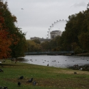 Фотоотчёт - Осенние каникулы в Лондоне (2010)
